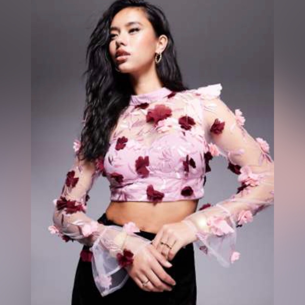 Asos luxe Elegant Floral Embroidered Sheer Blouse - Pink and Burgundy